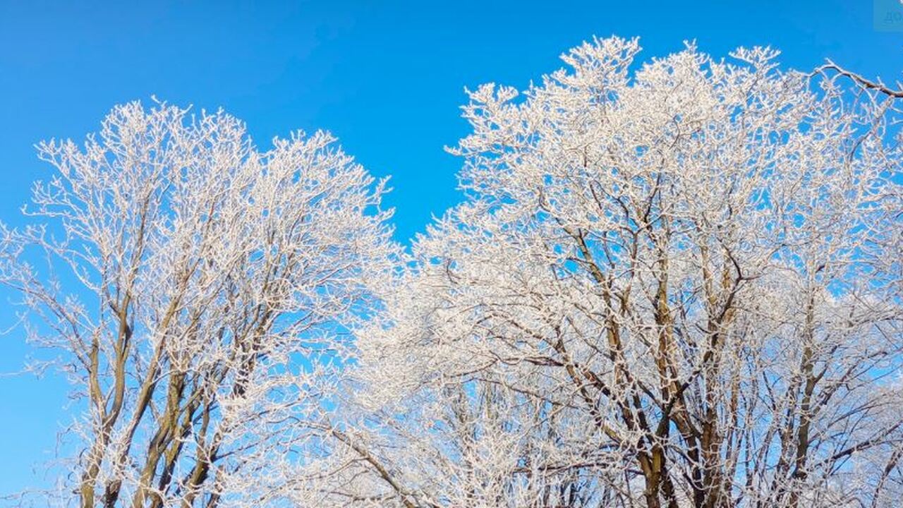 Согласно прогнозам синоптиков Gismeteo, с 10 ян...