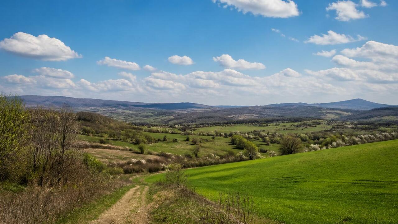 Гидрометцентр РТ прогнозирует повышение темпера...