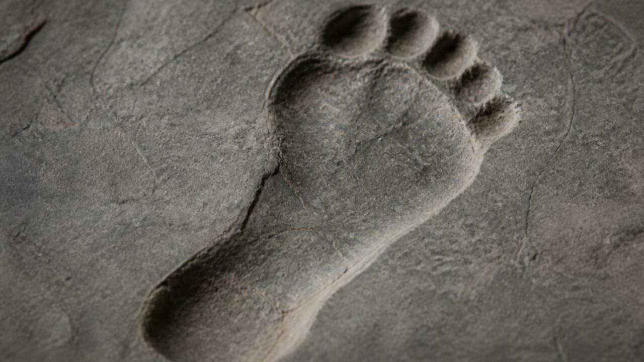 Ученые обнаружили окаменевшие следы Paranthropu...