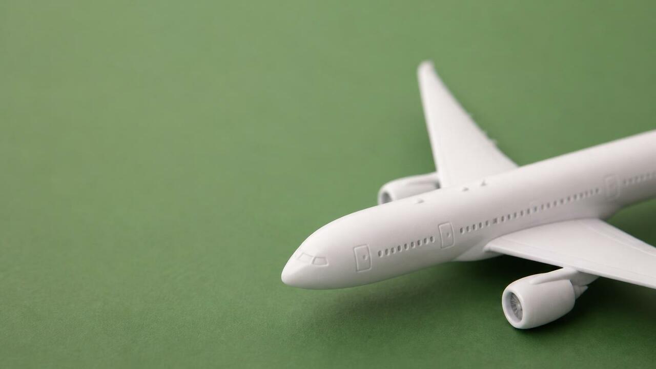Весь лесной фонд Татарстана осматривают с самолёта Cessna Татарстанские леса патрулируют с воздуха: за се...