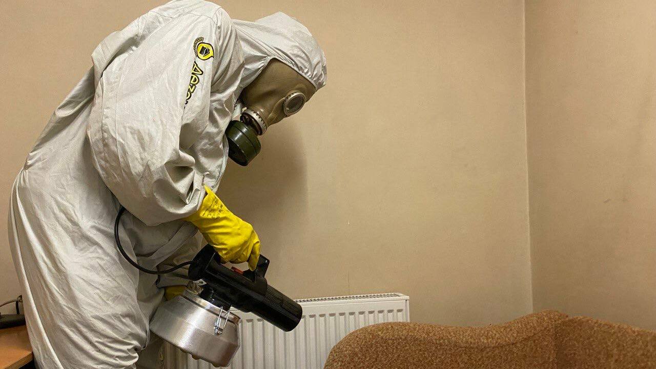 История основателя «ДезЭкоДом» в Набережных Чел...