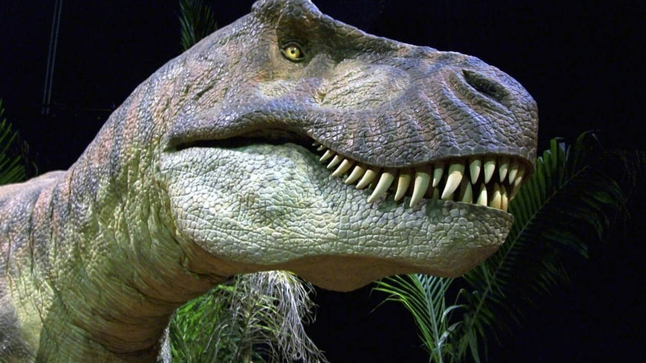 В Индии найден новый вид древнего хищного динозавра — Maleriraptor kuttyi Ученые из Индии и США сообщили об открытии ново...