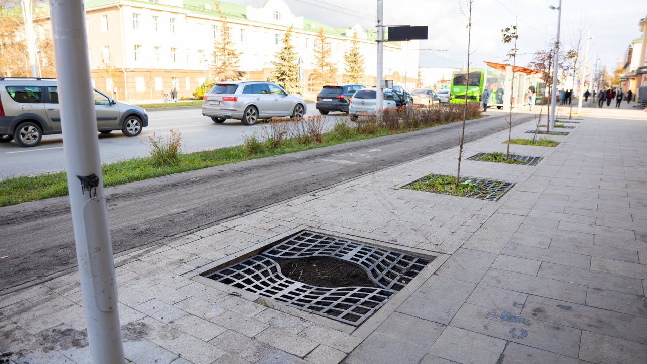 В Альметьевске на Ленина высадят 83 дерева