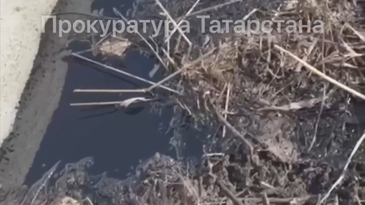 Разлитая нефть уничтожила плодородную почву в Альметьевском районе В Альметьевском, Лениногорском и Сармановском р...
