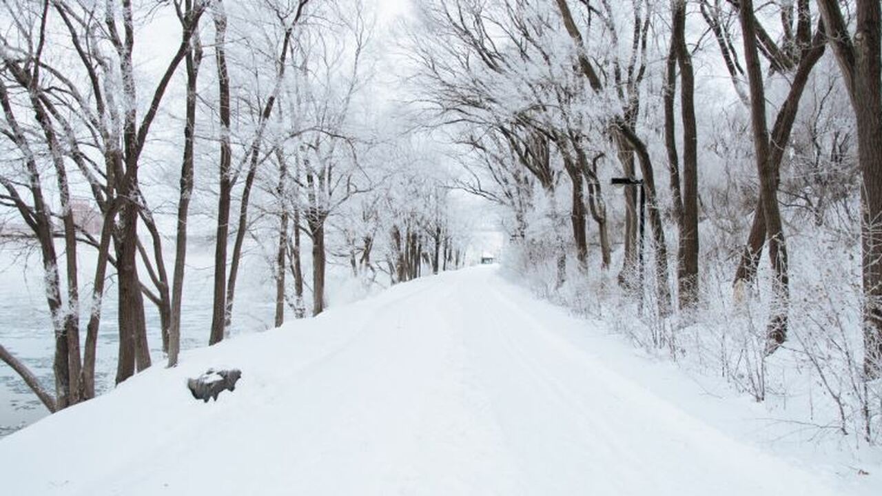 Синоптики Gismeteo прогнозируют аномальное тепл...