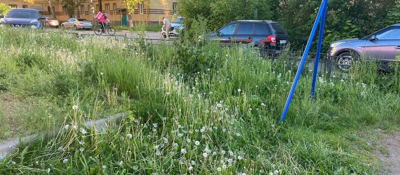 Жители Альметьевска активно обсуждают в социаль...