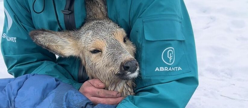 В Альметьевске группа людей, катаясь на сапборд...