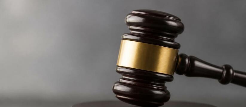 Суд в Волгограде лишил мать погибшего бойца СВО...