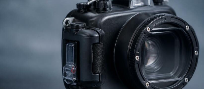 Морские биологи закрепили камеры на китовых акулах и получили уникальные кадры Морские биологи закрепили камеры на китовых аку...
