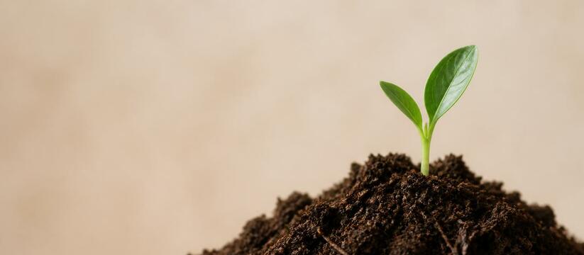 Ученые ТвГТУ разрабатывают технологии переработ...