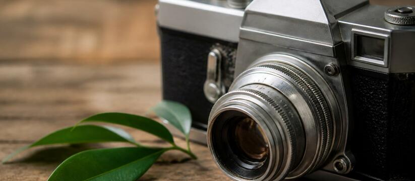 Гран-при конкурса научных фотографий BMC получи...