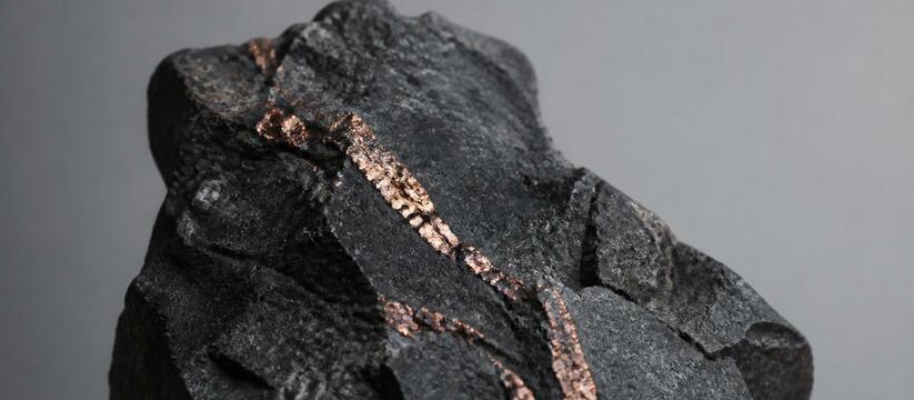 Ученые Оксфордского университета нашли в активн...