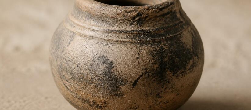 Студенты нашли 400-летний целый сосуд индейцев Флориды Студенты Университета Флориды нашли целый глиня...