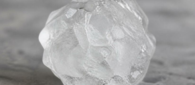 Ученые выяснили, что из-за потепления климата з...