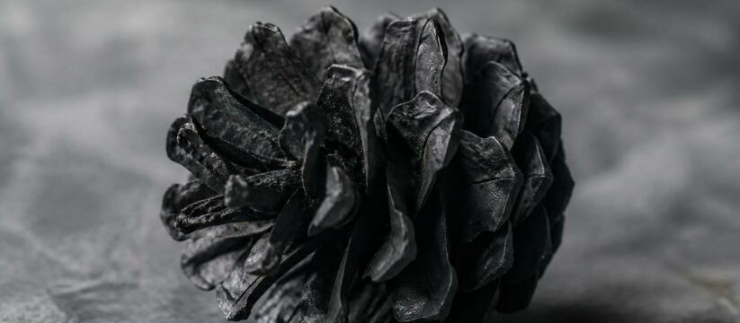 Ученые СФУ реконструировали историю пожаров в т...