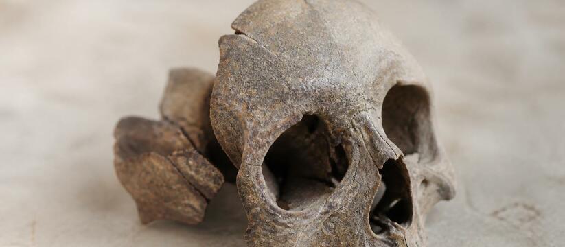 Археологи нашли в китайской провинции Хэнань 70...