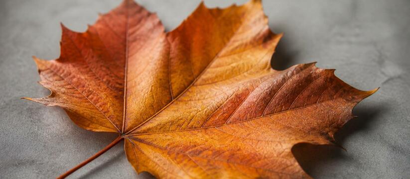 23 сентября в 03:05 Солнце пересечет небесный э...
