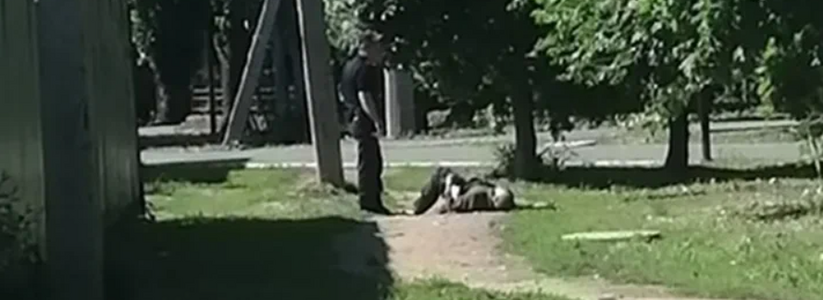 Полицейские в детском парке избили ногами мужчину