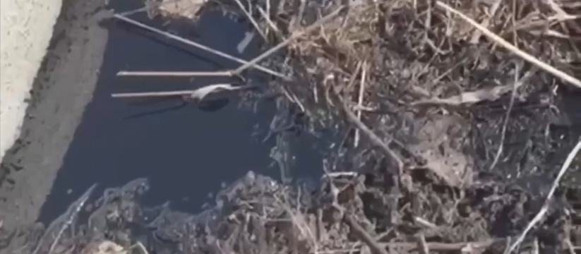 В Альметьевском, Лениногорском и Сармановском р...