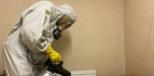 Война с шабашниками: как честный дезинсектор от...