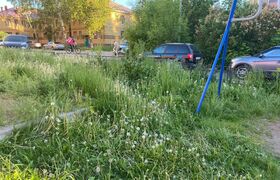 Альметьевцы недовольны состоянием газоном и пок...