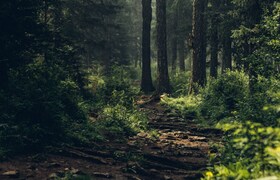 В Татарстане создано почти 1,8 тыс. км новых пр...