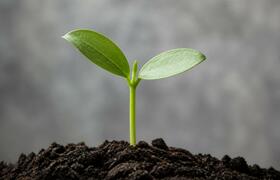«Татнефть» к 2050 году наполовину станет низкоу...