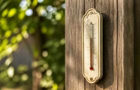 В Татарстане к концу недели потеплеет до +30 гр...
