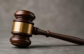 Жирафы научились складывать, но не вычитать