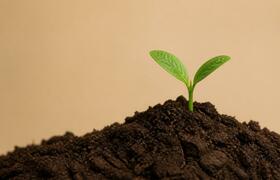 Российские почвоведы впервые подробно проследил...