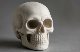 Ученые восстановили лицо древнейшего Homo sapie...