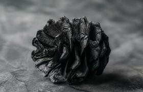 Ученые восстановили историю пожаров в сибирской...