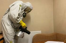 Война с шабашниками: как честный дезинсектор от...