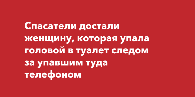 Девочка упала в туалет за телефоном